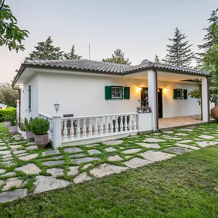 Euphoria Villa